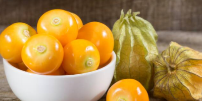 Uva spina disidratata – Physalis peruviana L. Nome commerciale: