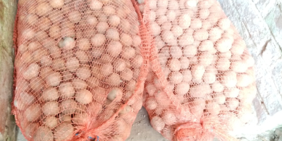 I have potatoes for sale packed in 25 kg