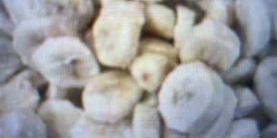 Frozen banana slices from Ecuador, organic. Packed in 10
