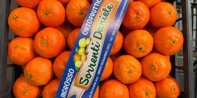 DMD Fruit Srl ist ein Familienunternehmen mit Sitz in