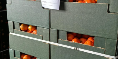 DMD Fruit Srl ist ein Familienunternehmen mit Sitz in
