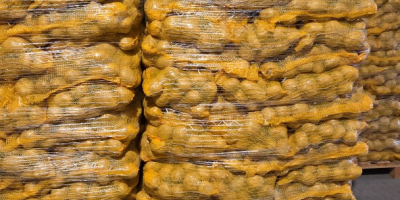 Hallo, ich habe FITO-Kartoffeln zu verkaufen. Ich biete Sorten