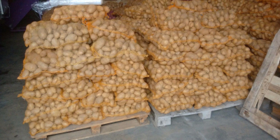 I&#39;m selling Queen Anna ware potatoes from this year&#39;s