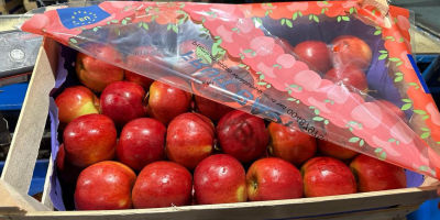Suntem furnizori de încredere de fructe și legume proaspete