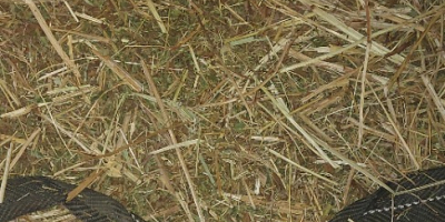 У меня есть 2-3 тонны таволги на продажу. Она