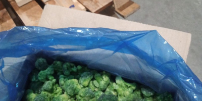 Frozen broccoli (7 kg pack/box) Unlimited volume available