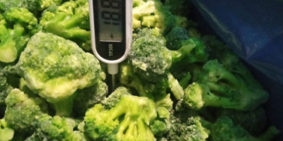 Frozen broccoli (7 kg pack/box) Unlimited volume available