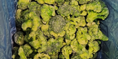 Frozen broccoli (7 kg pack/box) Unlimited volume available