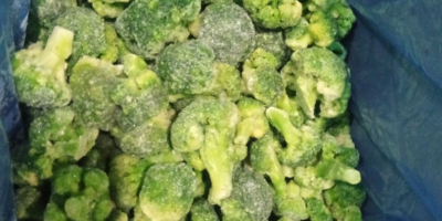 Frozen broccoli (7 kg pack/box) Unlimited volume available