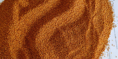 Olive seeds, brown flax, 1,000 tons FCA, Blagoveshchenka, Kazakhstan
