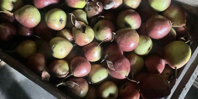 Bună ziua, vând o pară tare de foarte bună