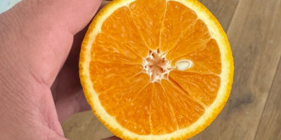 Orange Country of origin Greece Variety Valencia Sweet Available