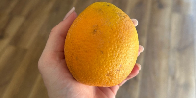 Orange Country of origin Greece Variety Valencia Sweet Available