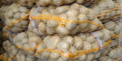 I have 50+ potatoes for sale: Queen Anna, Soraya,