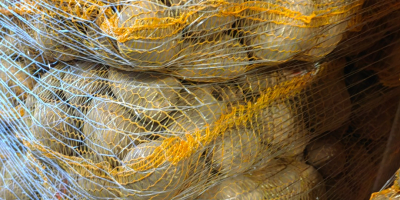 I have 50+ potatoes for sale: Queen Anna, Soraya,
