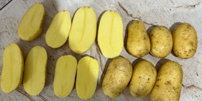 Queen Anna, Gala, Lili, Bernina potatoes with or without
