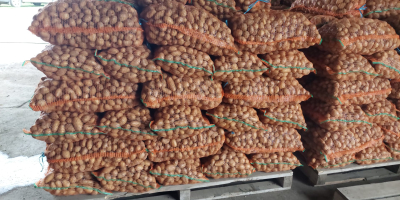 I sell potatoes for animals!