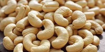 Anacardi di alta qualità per professionisti del settore alimentare