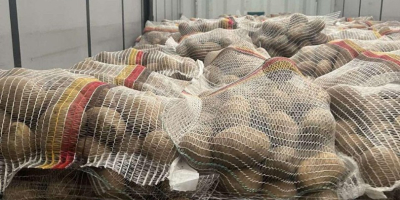 Premium German Potatoes – Wholesale Across Europe Looking for