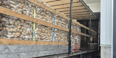 Premium German Potatoes – Wholesale Across Europe Looking for