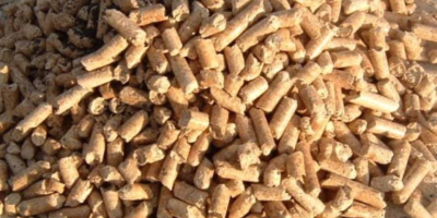 Un&#39;azienda polacca acquista pellet di combustibile da gusci di