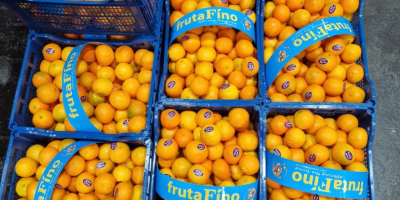 VITAMINOKKAL ÉS SZÍNEKKEL GAZDAG SZEZON, IDÉBBEN IS ELHOZZUK A