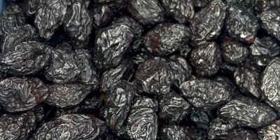 Szárított aszalt szilva eladó – Közvetlenül a moldovai termelőtől