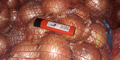 The producer is selling onions from the 2025 harvest.