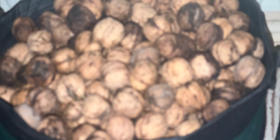 Van 35 kiló friss dióm