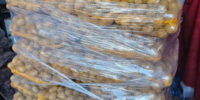 Продајем јестиви кромпир сорти Игнаци, Сораја и Балтичко розе.