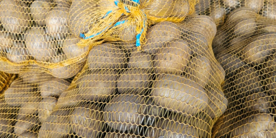 Продајем јестиви кромпир сорти Игнаци, Сораја и Балтичко розе.