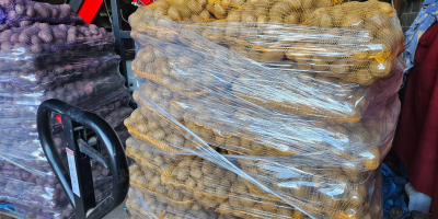 Продајем јестиви кромпир сорти Игнаци, Сораја и Балтичко розе.