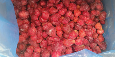 Salve, siamo la Cooperativa Agricola Fungo-Vita dalla Serbia. Vendiamo