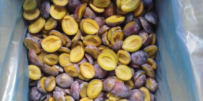 Salve, siamo la Cooperativa Agricola Fungo-Vita dalla Serbia. Vendiamo