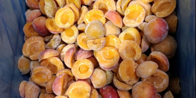 Salve, siamo la Cooperativa Agricola Fungo-Vita dalla Serbia. Vendiamo