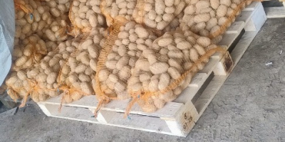 I&#39;m selling potatoes from my own farm. Varieties: Red