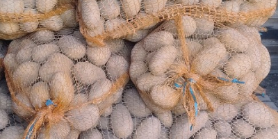 I&#39;m selling potatoes from my own farm. Varieties: Red