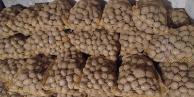 Voi vinde cartofi Gala din sol ușor, cantități de