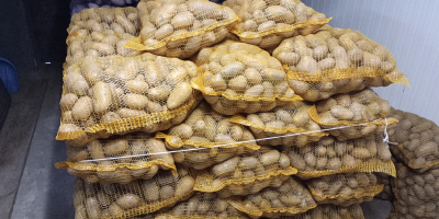 Здравейте. Продавам ядливи картофи Сорая и Балтикроса, кал. 50+,