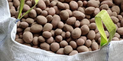 Здравейте. Продавам ядливи картофи Сорая и Балтикроса, кал. 50+,