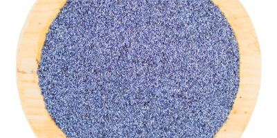 Blaue Mohnsamen zu verkaufen. Verpackt in 25-kg-Papiersäcken. Herkunftsland: Tschechische