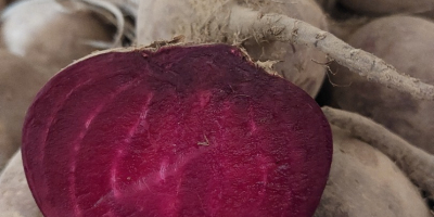 Hello, I am selling beetroot, Azuma F1 variety. It