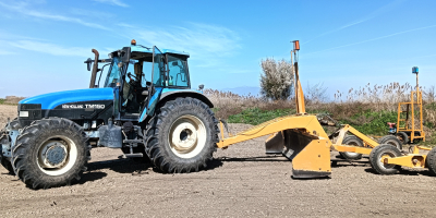 Wir verfügen über große Mengen frisch geernteten Reises aus