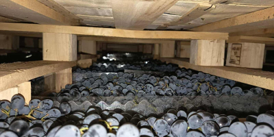 напрямую от производителя, хранится в оптимальных условиях в холодильнике