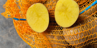 Hello. I am selling very tasty potatoes of the