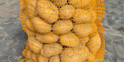 Hello. I am selling very tasty potatoes of the