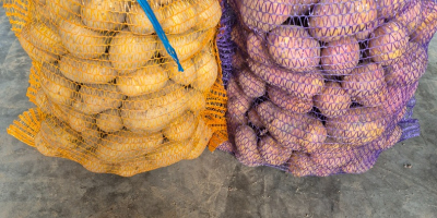 Üdvözlöm. Nagyon finom Balana (sárga), Baltic Rosa és Birgit