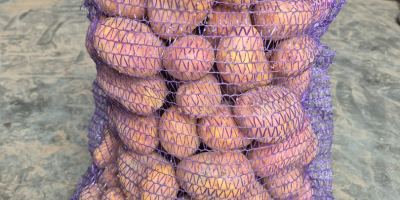 Hello. I am selling very tasty potatoes of the