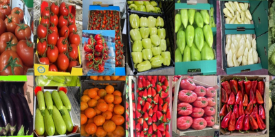 Свежие мандарины премиум-класса доступны оптом. Прямые поставки. Стабильное качество,