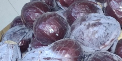 Продаје се бели и црвени купус. Доступно 1.500 тона.